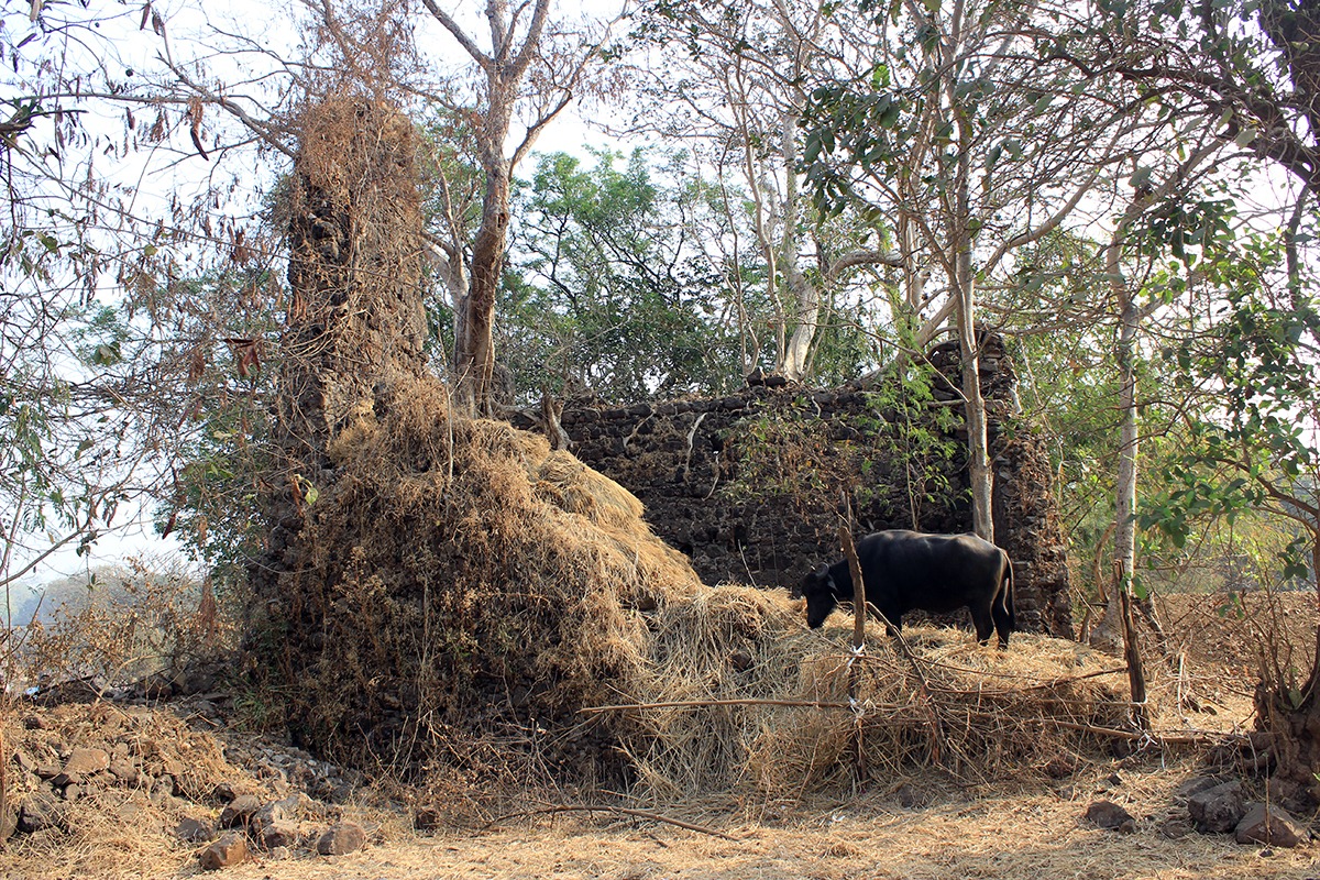 Nandrukhi Kot
